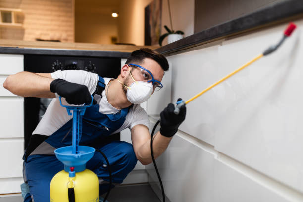 Best Termite Control Services  in Cedar Glen Lakes, NJ
