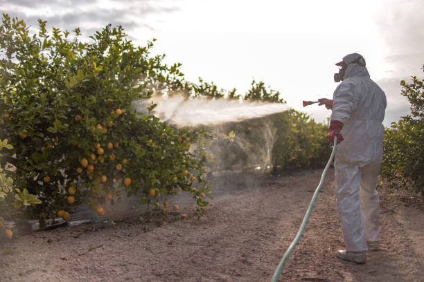 Best Mosquito Control Services  in Cedar Glen Lakes, NJ