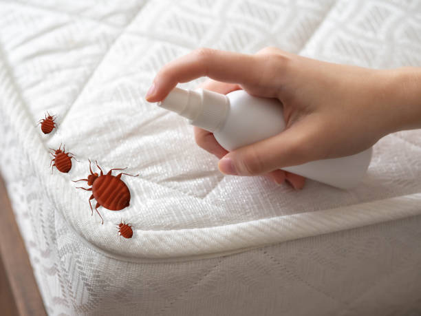 Best Pest Inspection Near Me  in Cedar Glen Lakes, NJ