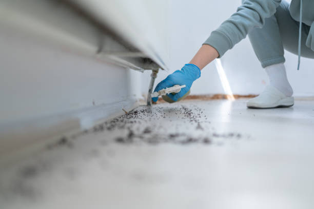 Trusted Cedar Glen Lakes, NJ Pest Control Experts